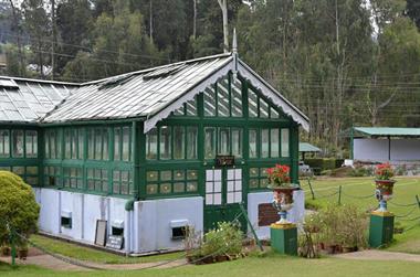 Botanical Garden, Ooty_DSC5580_H600